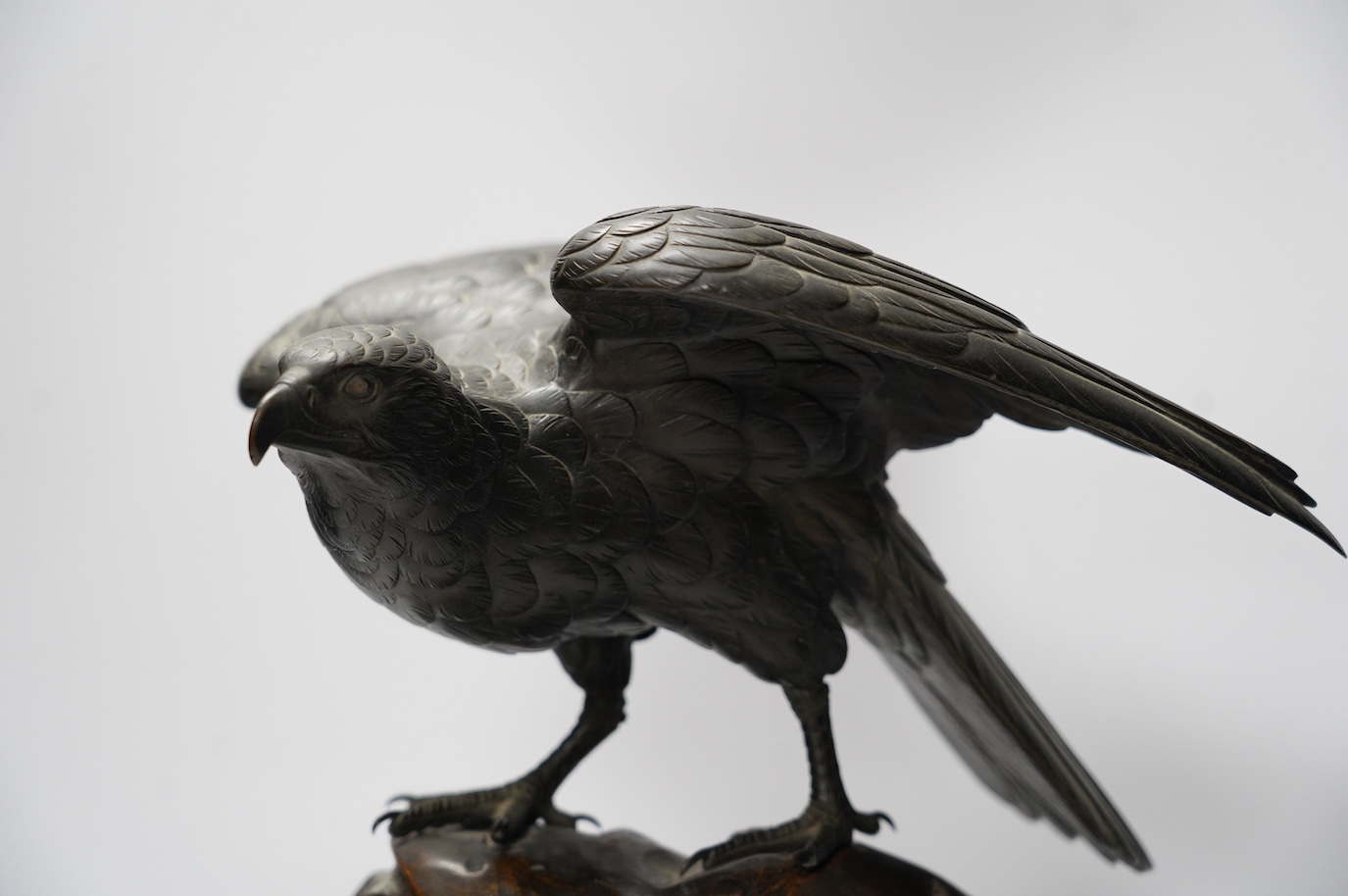 A Japanese Meiji period cast bronze model of a hawk, raised on a naturalistic carved root wood base, signed to tail underside, 39.5cm. Condition - good